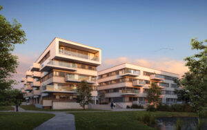 Lees meer over het artikel Elysia park